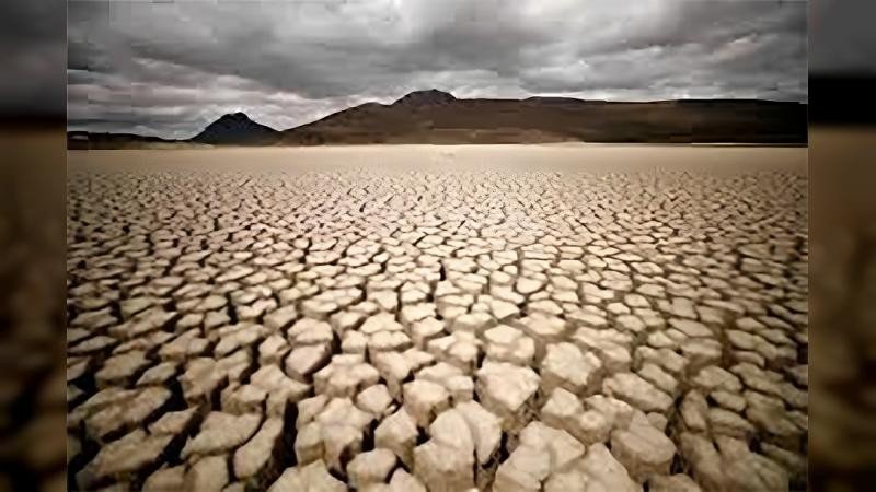 Global Climate Crisis: Bangladesh and the World Grapple with Severe Heatwave